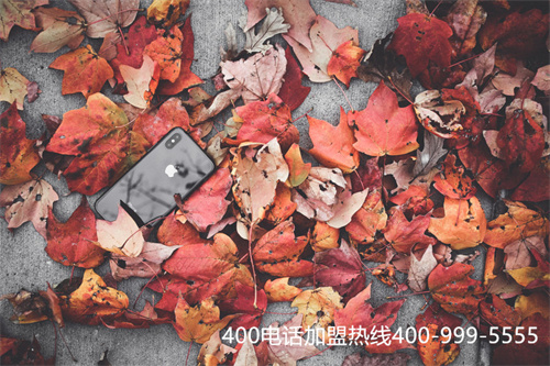(如何申請400電話號碼)(400電話如何申請辦理)