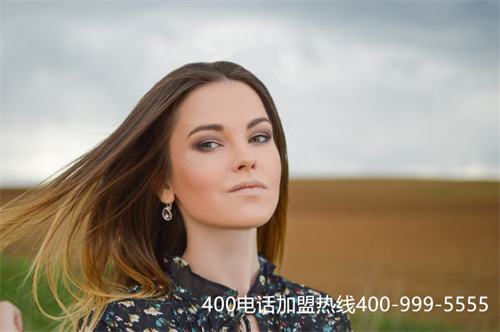 (400電話山西)(太原400電話網)