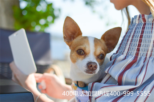 (開通400電話收費標準)(400電話要收費嗎)